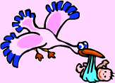 Gentle Doula Care Services