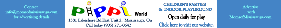 Pippi's World Childrens's Parties & Indoor Playground