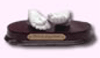 LifeCast