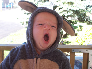 "Oh, bother!"
