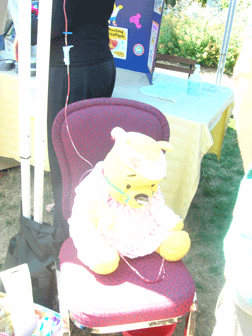 Teddy Bears Picnic - Teddy Bear Clinic