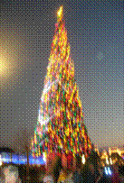 Photo of Christmas Tree for Diverse Celebrations Article